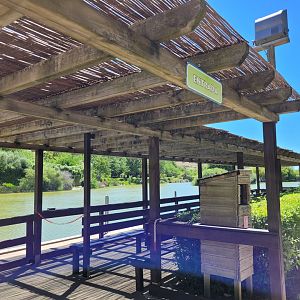 Rowing boat harbour -Sendaviva (2024)