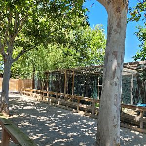 Raptor aviaries -Sendaviva (2024)