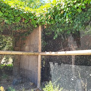 Owl exhibits -Sendaviva (2024)