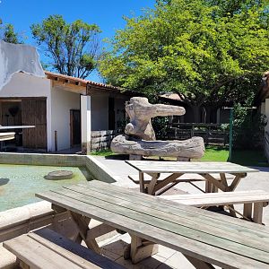 Farm area in "Aves" -Sendaviva (2024)