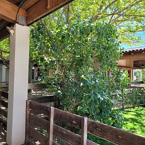 Farm area in "Aves" -Sendaviva (2024)