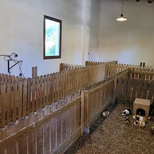 "Mini Zoo" view -Sendaviva (2024)