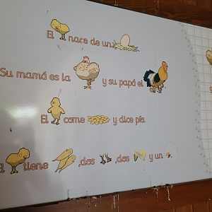 Educative element for children -Sendaviva (2024)