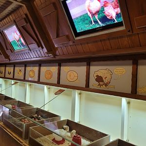 "El ciclo del Huevo" -Sendaviva (2024)