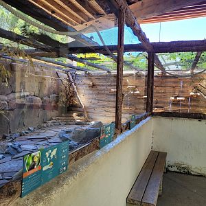 Eurasian thick-knee, Cockatiel, Rainbow lorikeet and Jandaya conure exhibit -Sendaviva (2024)