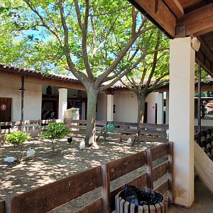 Farm area in "Aves" -Sendaviva (2024)