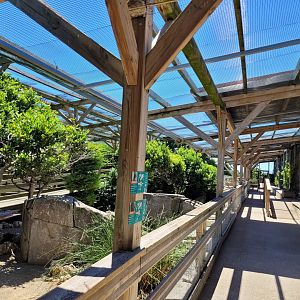 Second walkthrough aviary -Sendaviva (2024)