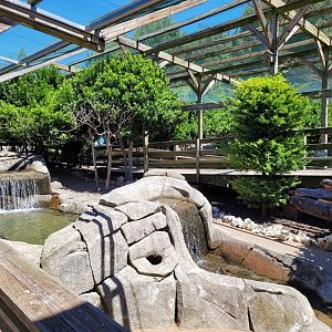 Second walkthrough aviary -Sendaviva (2024)