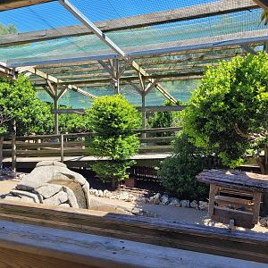 Second walkthrough aviary -Sendaviva (2024)