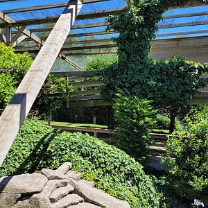 Second walkthrough aviary -Sendaviva (2024)