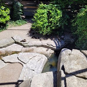 Second walkthrough aviary -Sendaviva (2024)