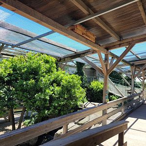 Second walkthrough aviary -Sendaviva (2024)