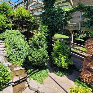 Second walkthrough aviary -Sendaviva (2024)