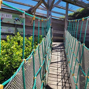 Suspension bridge -Sendaviva (2024)