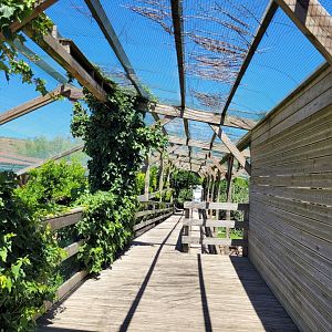 Second walkthrough aviary -Sendaviva (2024)