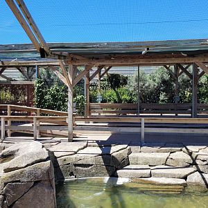 Second walkthrough aviary -Sendaviva (2024)