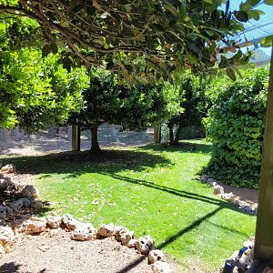 Second walkthrough aviary -Sendaviva (2024)