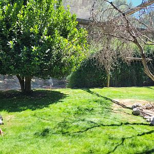 Second walkthrough aviary -Sendaviva (2024)