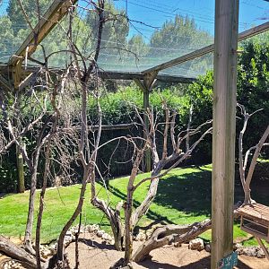 Second walkthrough aviary -Sendaviva (2024)