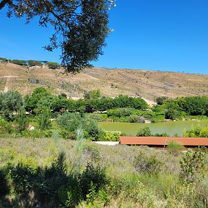 View -Sendaviva (2024)