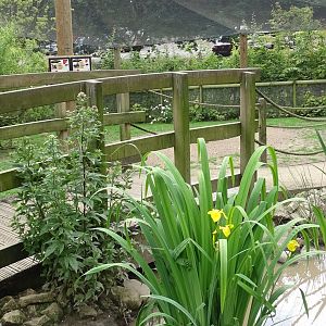 Inside walk-through aviary, 29th June 2024