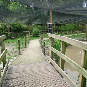 Inside walk-through aviary, 29th June 2024