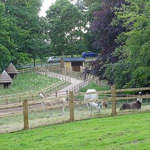 Zoo extension, 21st June 2024