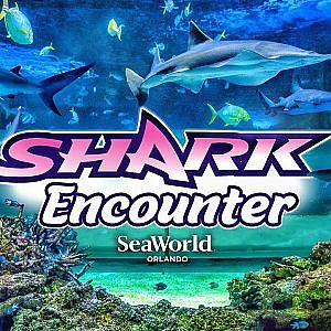 Shark Encounter | Zoo Tours