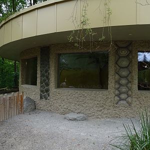 Spurred tortoise indoor enclosure