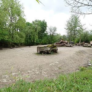 White rhino enclosure