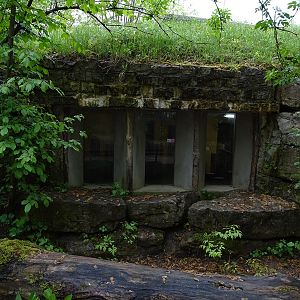 Windows into rhino stables