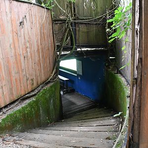 entering the Grebes, Otters, and Beavers underwater viewing tunnel
