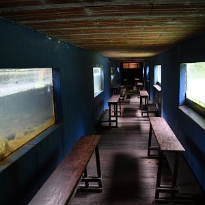 Grebes, Otters, and Beavers underwater viewing tunnel