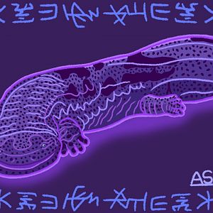 Chinese Giant Salamander