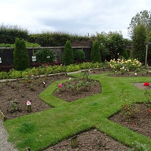 Gardens and aviaries, 1st July 2024