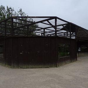Black and White Ruffed Lemur exhibit, 1st July 2024
