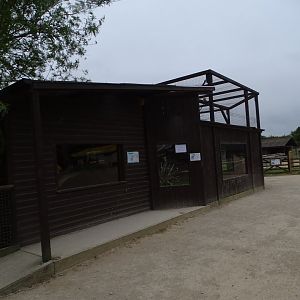 Black and White Ruffed Lemur exhibit, 1st July 2024