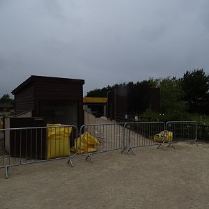 New exhibits in progress: African Spurred Tortoise, Ring-tailed Coatis, Reptile House; 1st July 2024