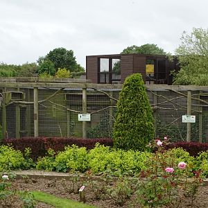 Gardens and aviaries, new Coati exhibit behind, 1st July 2024