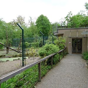 Red river hog + diana monkey enclosure and entrance to Lion House