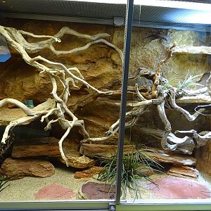 Lion House: Terrarium for tropical girdled lizard