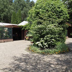 Entrance and exit of the Pukara house, 2024-05-23
