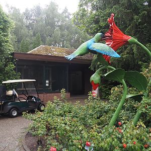 Flower and hummingbird statue, exit of Pukara and Austral parakeet and Elegant-crested tinamou aviary, 2024-05-22