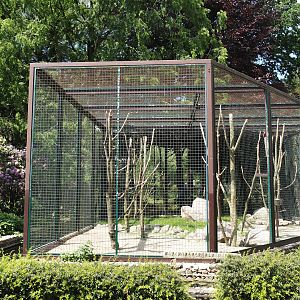 Macaw, Amazon and Seriema aviary next to Pukara, 2024-05-23