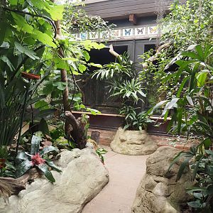 Pukara - Butterfly area, 2024-05-22