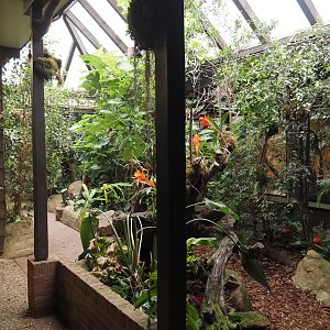 Pukara - Butterfly area, 2024-05-22