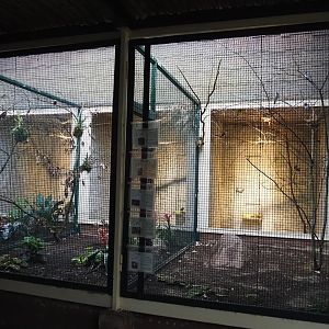 Aviaries in Pukara, 2024-05-22