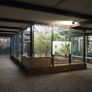 View in Pukara - Aviaries and Two-toed sloth, Red-footed tortoise and Chestnut-eared aracari exhibit, 2024-05-22