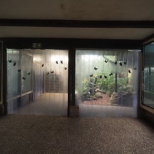 View in Pukara, 2024-05-22