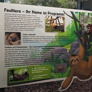 Two-toed sloth signage, 2024-05-22
